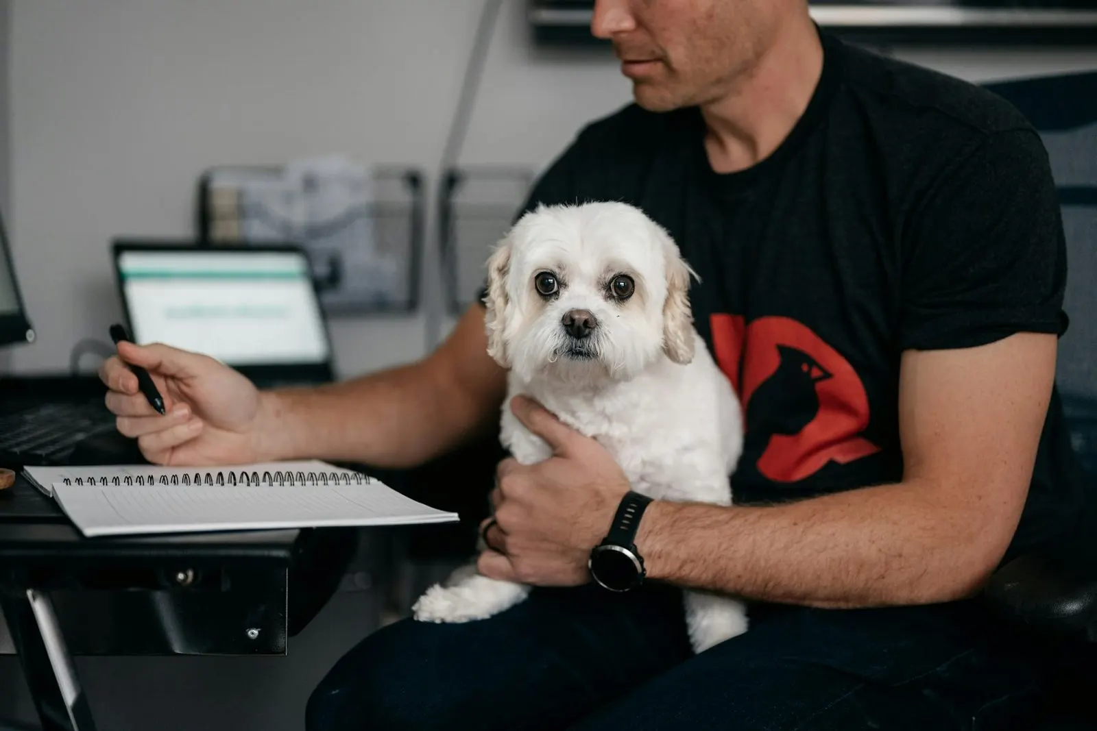 Persona con su perro frente a la computadora