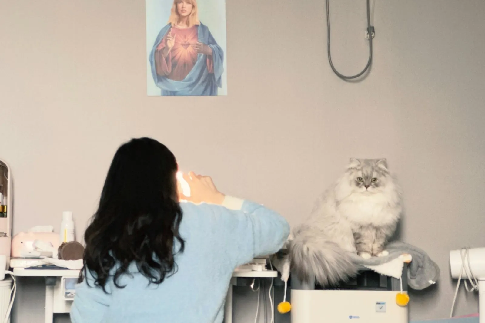 Gato sobre la mesa junto a la veterinaria durante el control